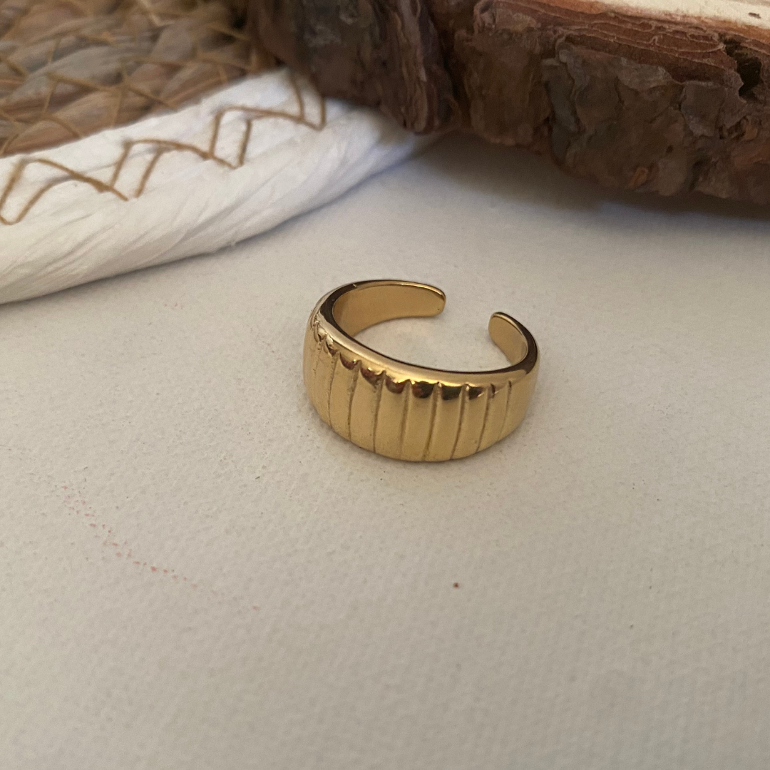ANILLO RAYA ACERO