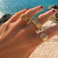 ANILLO CIRCULOS DESIGUALES
