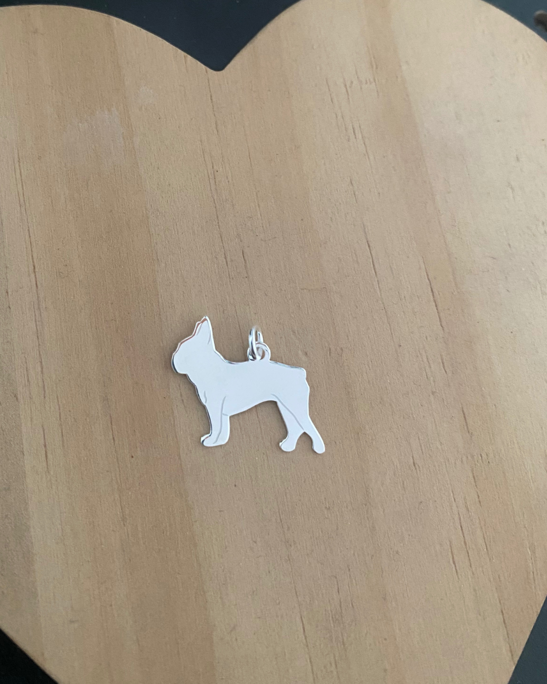 PULSERA NIÑOS Y MASCOTA PLATA DE LEY