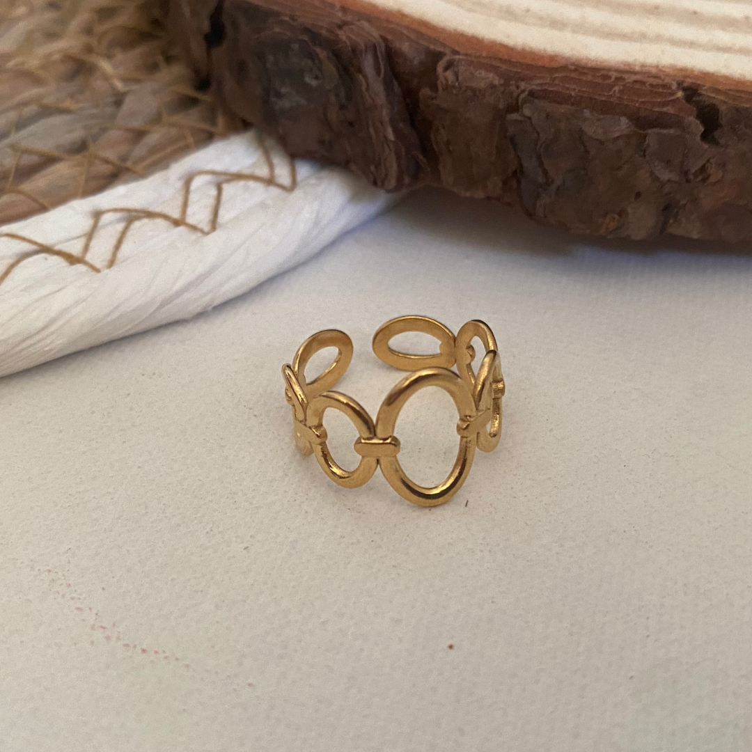 ANILLO CIRCULOS DESIGUALES