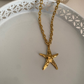 COLLAR ESTRELLA ACERO