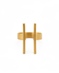 ANILLO HORIZONTE