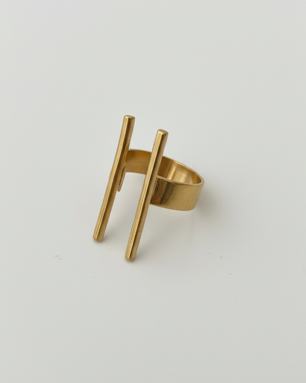 ANILLO HORIZONTE