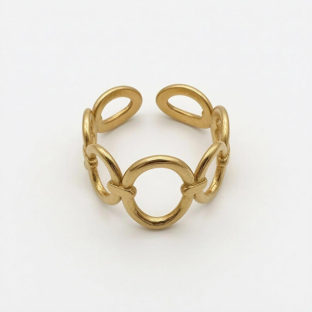 ANILLO CIRCULOS DESIGUALES