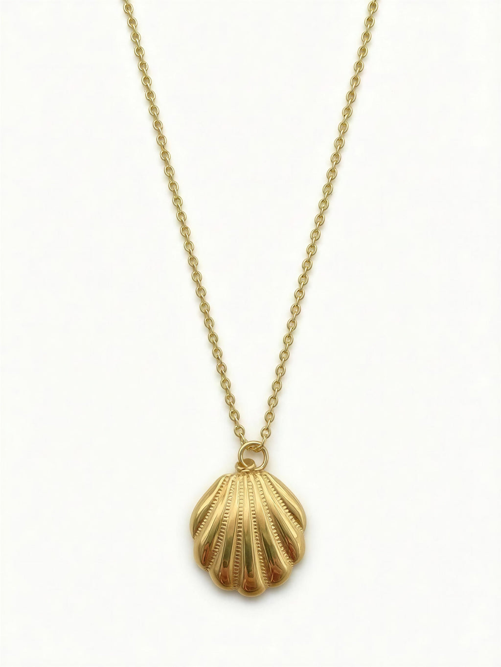 Collar Concha - Acero