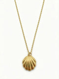 Collar Concha - Acero